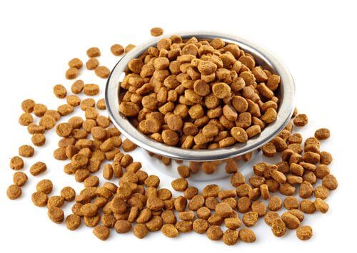 A bowl of pet food.