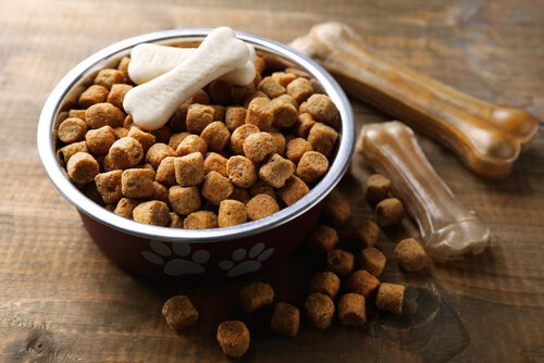 Carbs in Dog and Cat Food: What Exactly Are They?