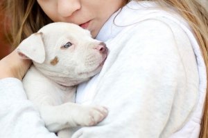 Animal-Assisted Therapy for Children Diagnosed with Autism