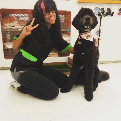 A woman is with Beau the dog professor.