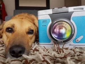 The Book Written by a Dog