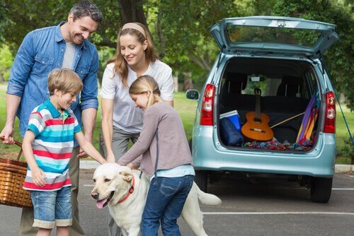 A family traveling with a dog. 