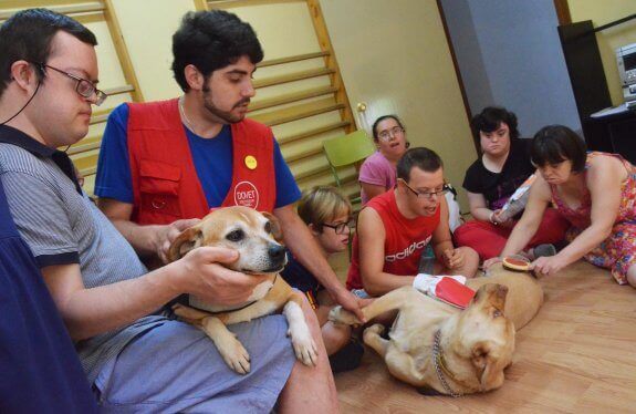 A volunteer is in a room with a couple dogs to help people with Down Syndrome.