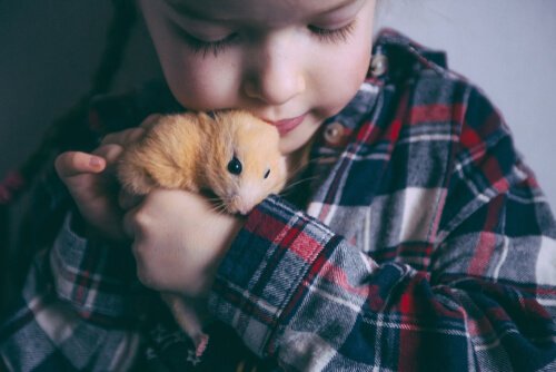 A young child is snuggling a hamster up to its chin.