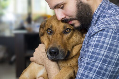 A man hugging a dog.