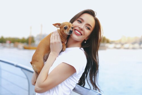 A woman posing with a Chihuahua dog.