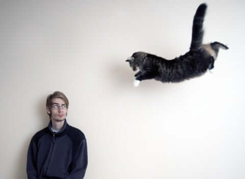 A cat jumping towards a man.
