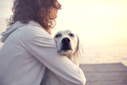 A sweet dog being hugged by its owner.
