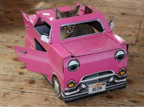 This cat is riding a pink cadillac.