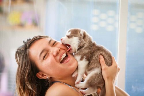 A dog yawning near a woman's face.