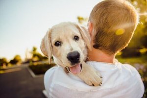 Five of the Most Loving Pets!