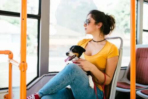A woman sitting on a bus with a dog on her lap.