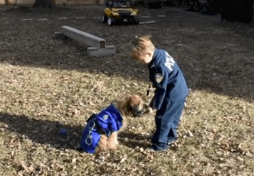 Ruby and Oliver playing in the yard.