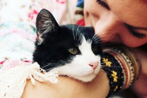 I Love My Cat... But Does My Cat Love Me?