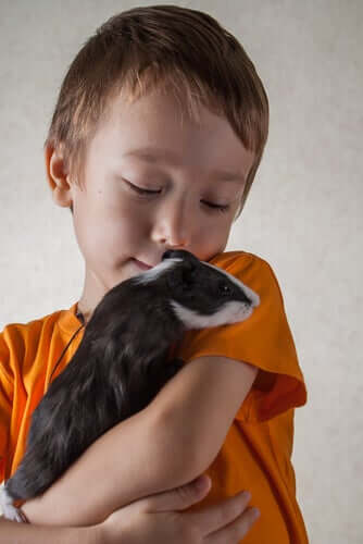 A child is gently holding his pet in his arms.