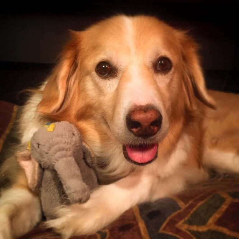 Maple and her owner Trench make music together.