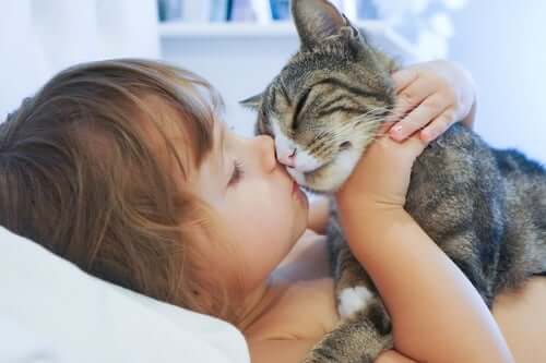 A child kissing a cat.