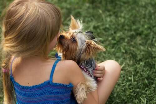 A girl kissing a dog.
