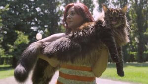 The Longest Cat and other World Record Holders