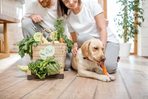 A couple and their dog after buying vegetables.