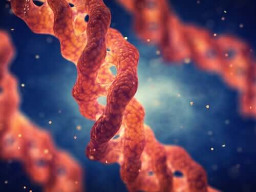 Some strands of DNA.