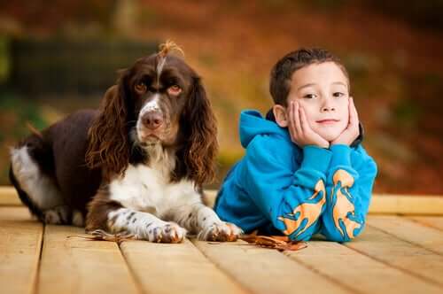 Dogs in Classrooms Can Help Children Learn
