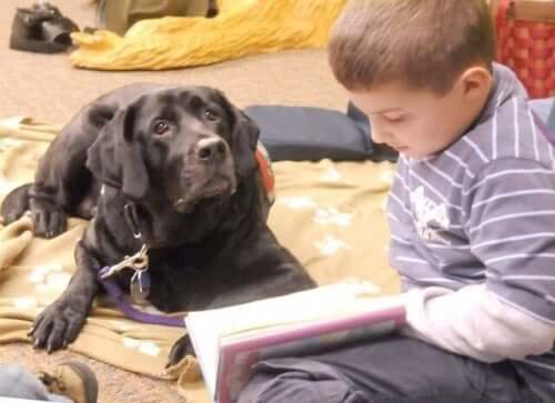 Dogs in classrooms helping children learn.