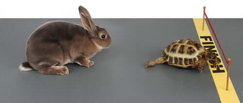 A tortoise crossing a finish line in front of a hare in animal stories for kids.