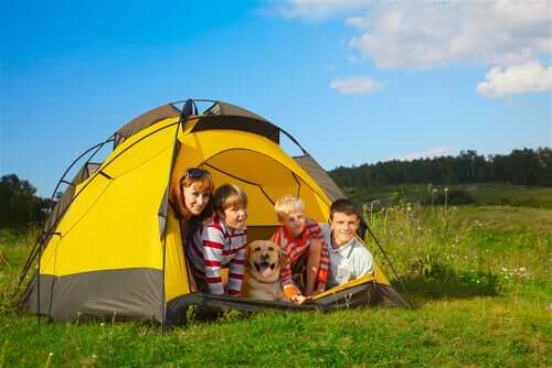 Camping with Dogs and Children - Legal Aspects