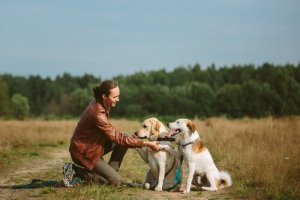 Off-Leash Dogs - State and Local Regulations