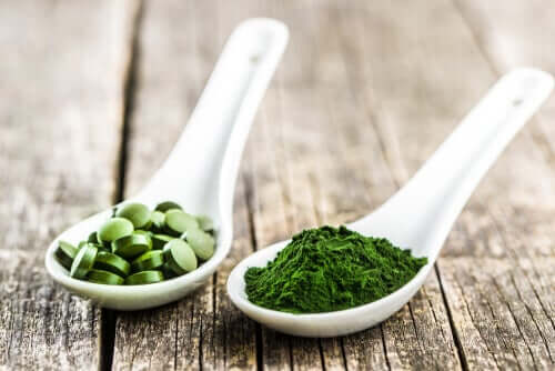The 3 Main Benefits of Chlorella for Dogs