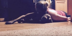 Colt the Service Dog: Trained to Protect His Owner