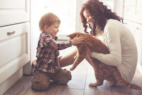The Influence of Pets on Human Life