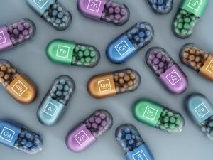 Synthetic Vitamins and Minerals in Dog Food