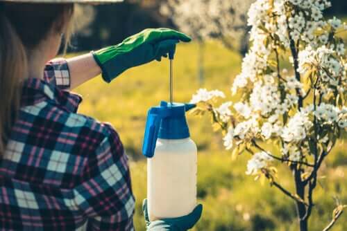 A woman using garden pesticides.