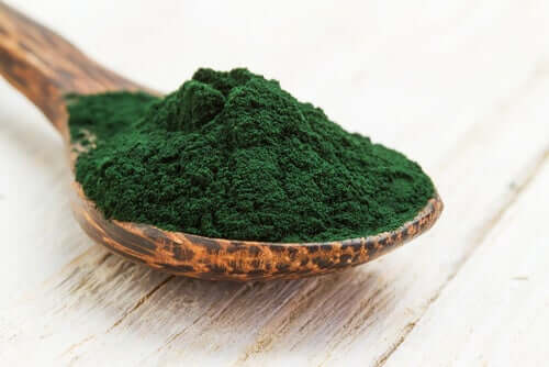 A spoonful of spirulina supplement.