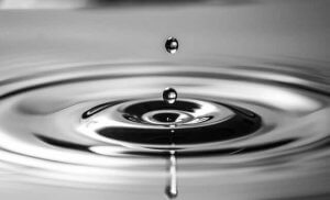 Colloidal Silver - Immunizing Properties on Dogs