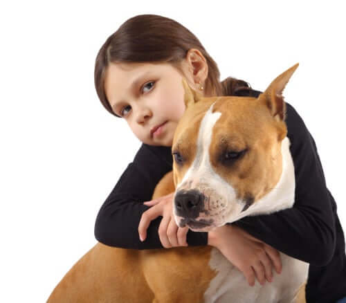 A girl with her American bully.