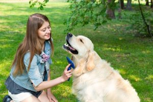 A girl brushing her dog.