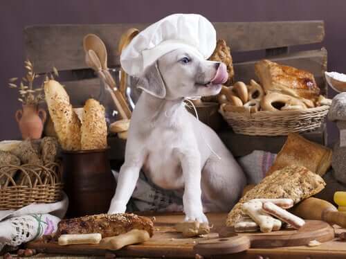 are carbs bad for dogs