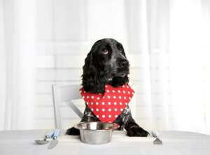 A good diet is essential for a dog's health.