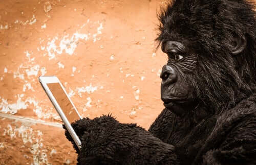 A gorilla using a cell phone.