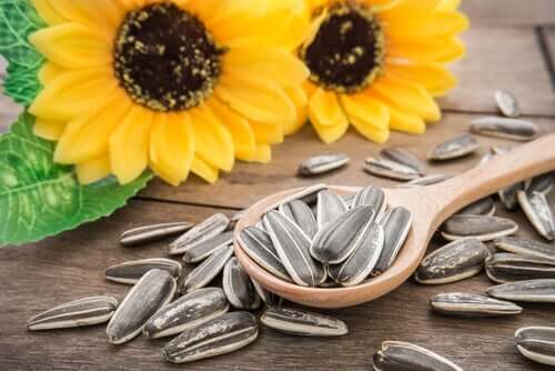 Sunflower Seeds: 3 Amazing Benefits for Your Pets