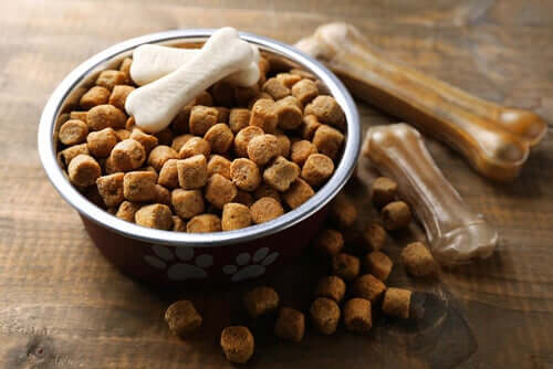 Kibble and dental sticks are good for your dog's teeth.