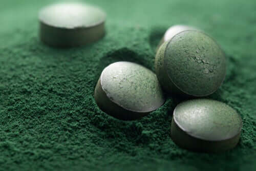 Is Spirulina Extract Good for Dogs?