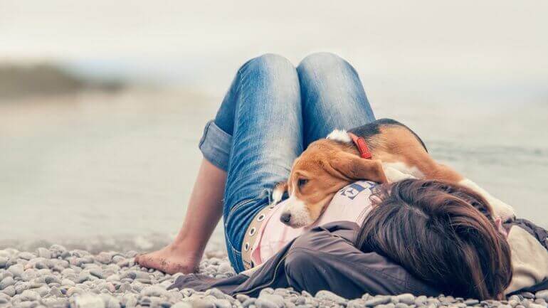 A dog lying on a pebble beach with their owner.