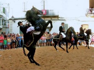 Spanish Horse Breeds