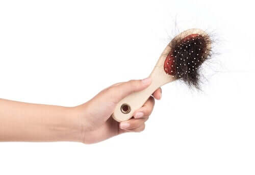 A pet brush with lots of cat's fur.