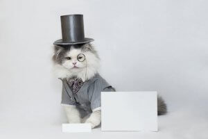 A cat in a top hat and monocle. 