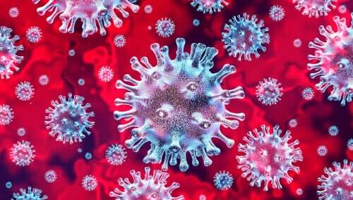 The 3 types of canine coronavirus.